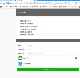 内充自动识别角色充值